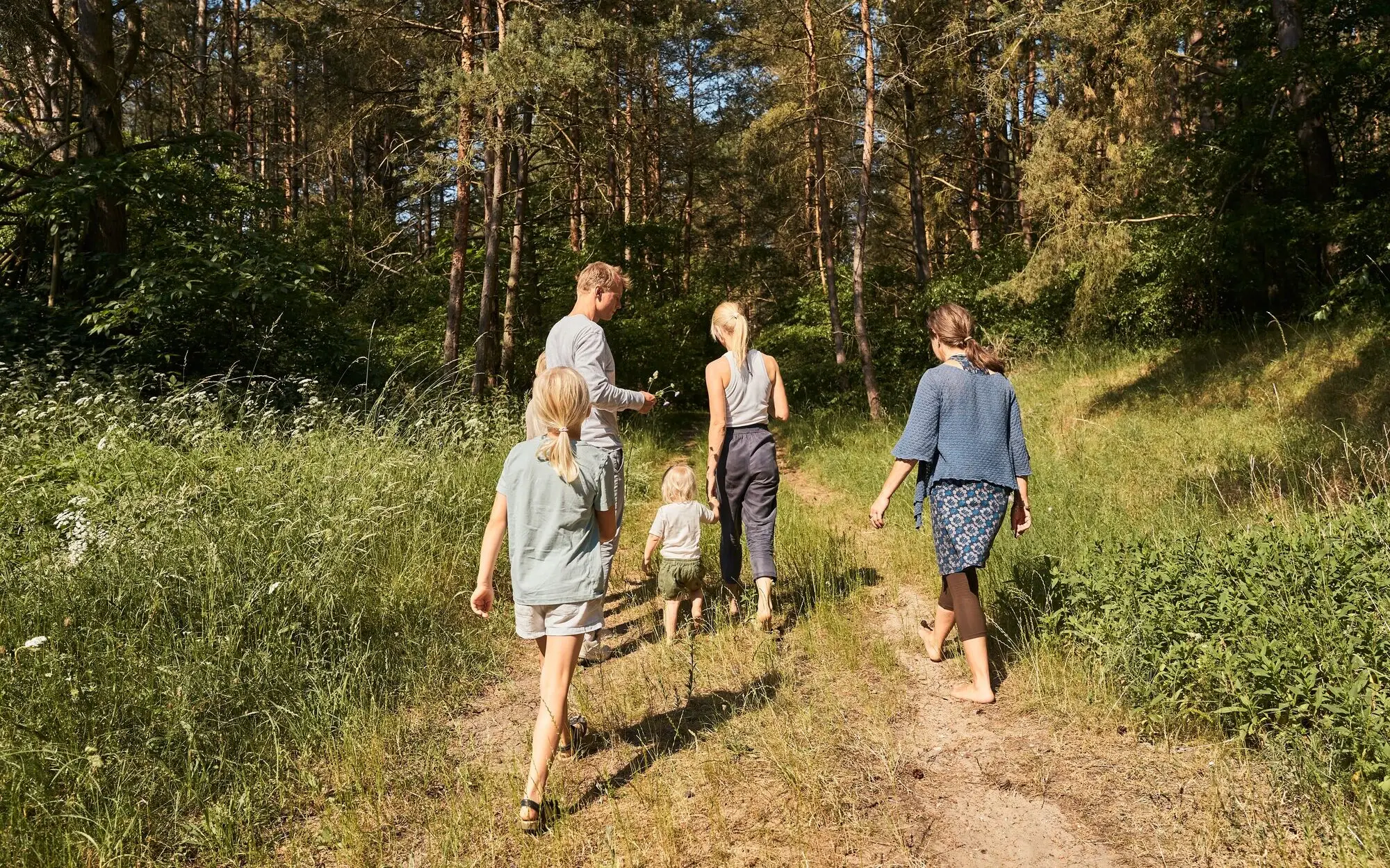 Group of people hiking on a forest path.