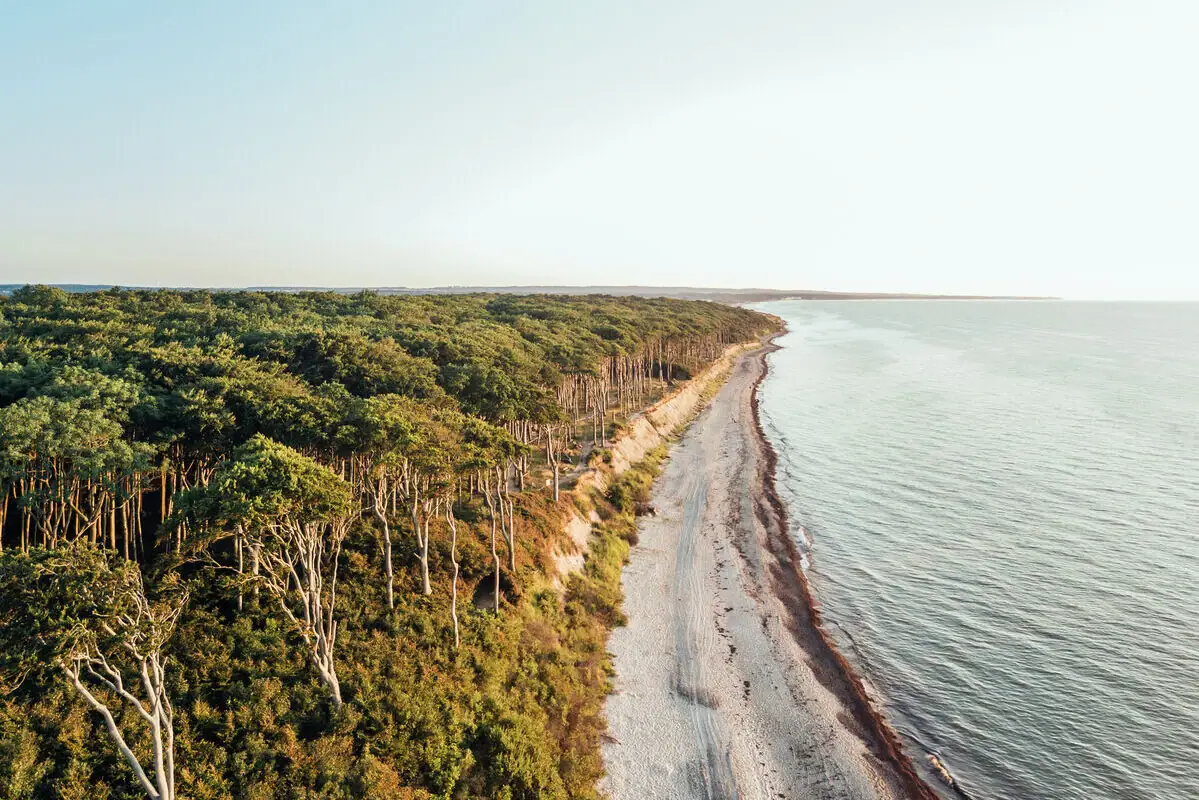 Beach with trees and water in the foreground.