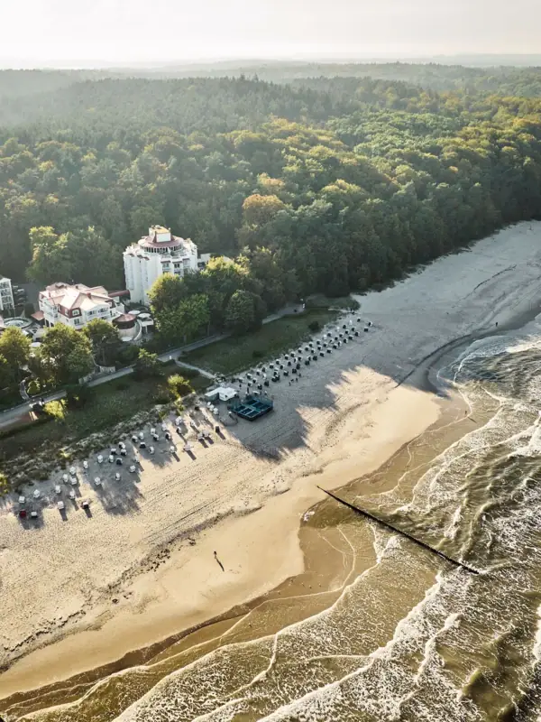 Aerial view of a beach bordered by trees and buildings.