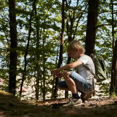 A boy kneels in the forest.