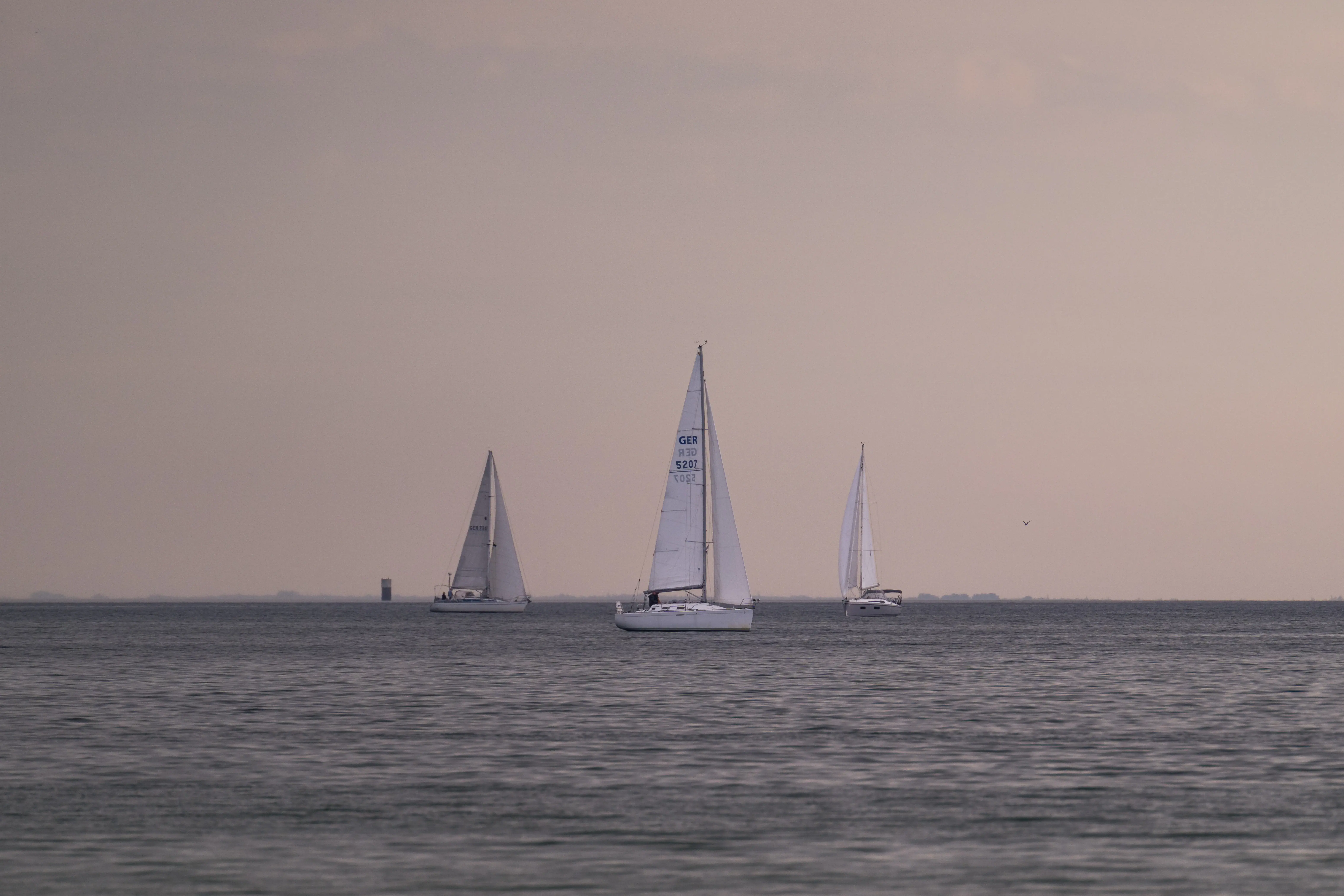 A group of sailing boats on the water.
