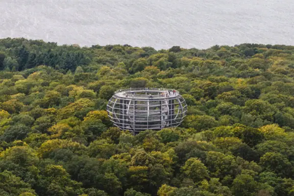 Structure in the middle of a forest with trees and plants.