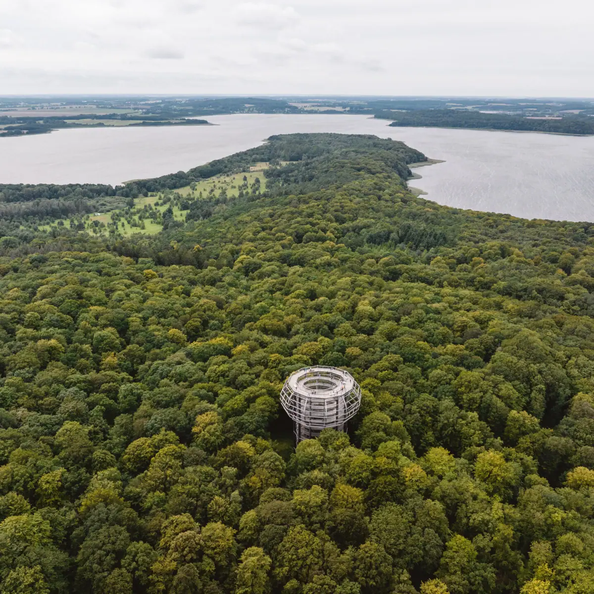 Large round structure in a forest.