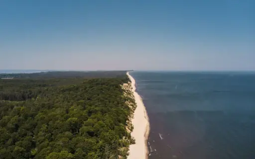 Beach with trees and water, surrounded by a coastal landscape.