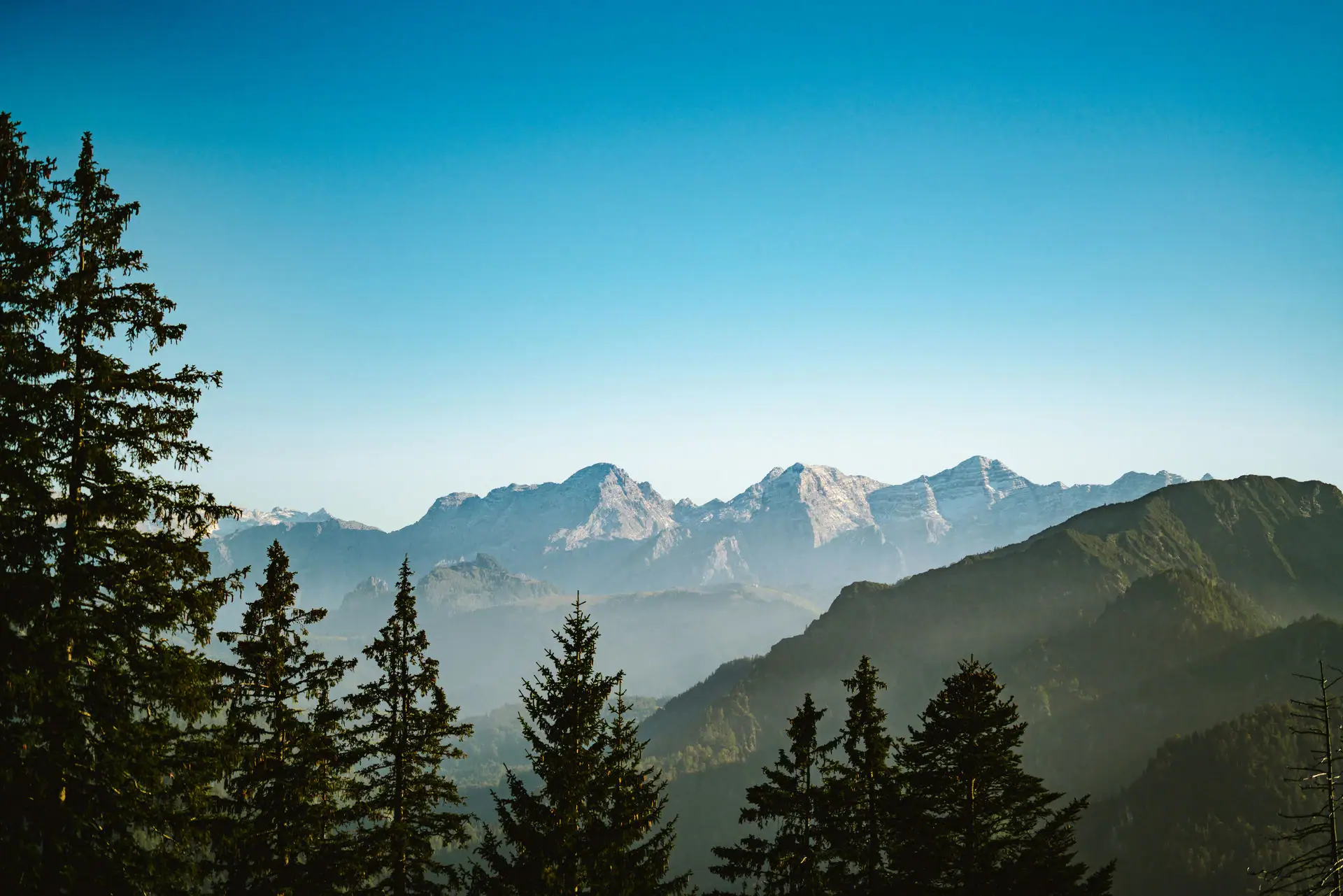 Mountain range with trees.