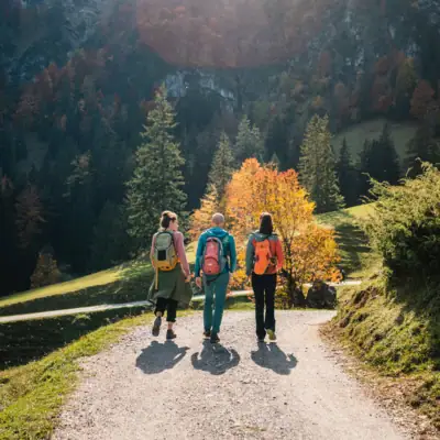 A group of people are walking along a path in front of a mountain.
