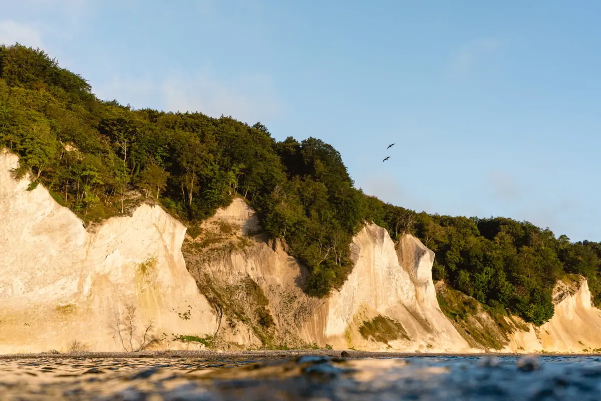 Cliff with trees and water in the foreground, sky in the background.