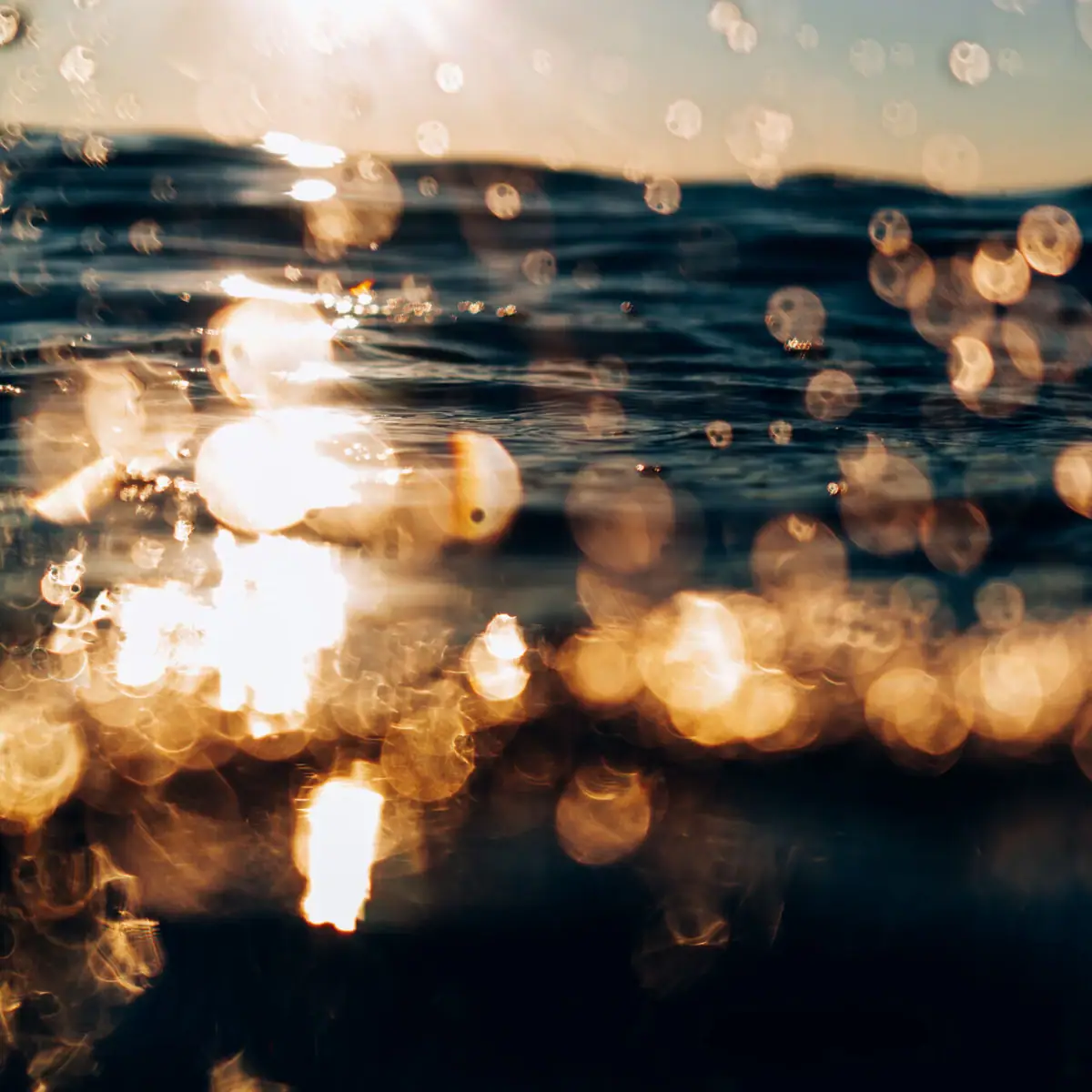 Water Drops of water on the water surface