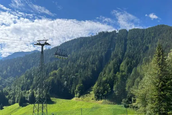 Power line in a grassy field with trees and blue sky