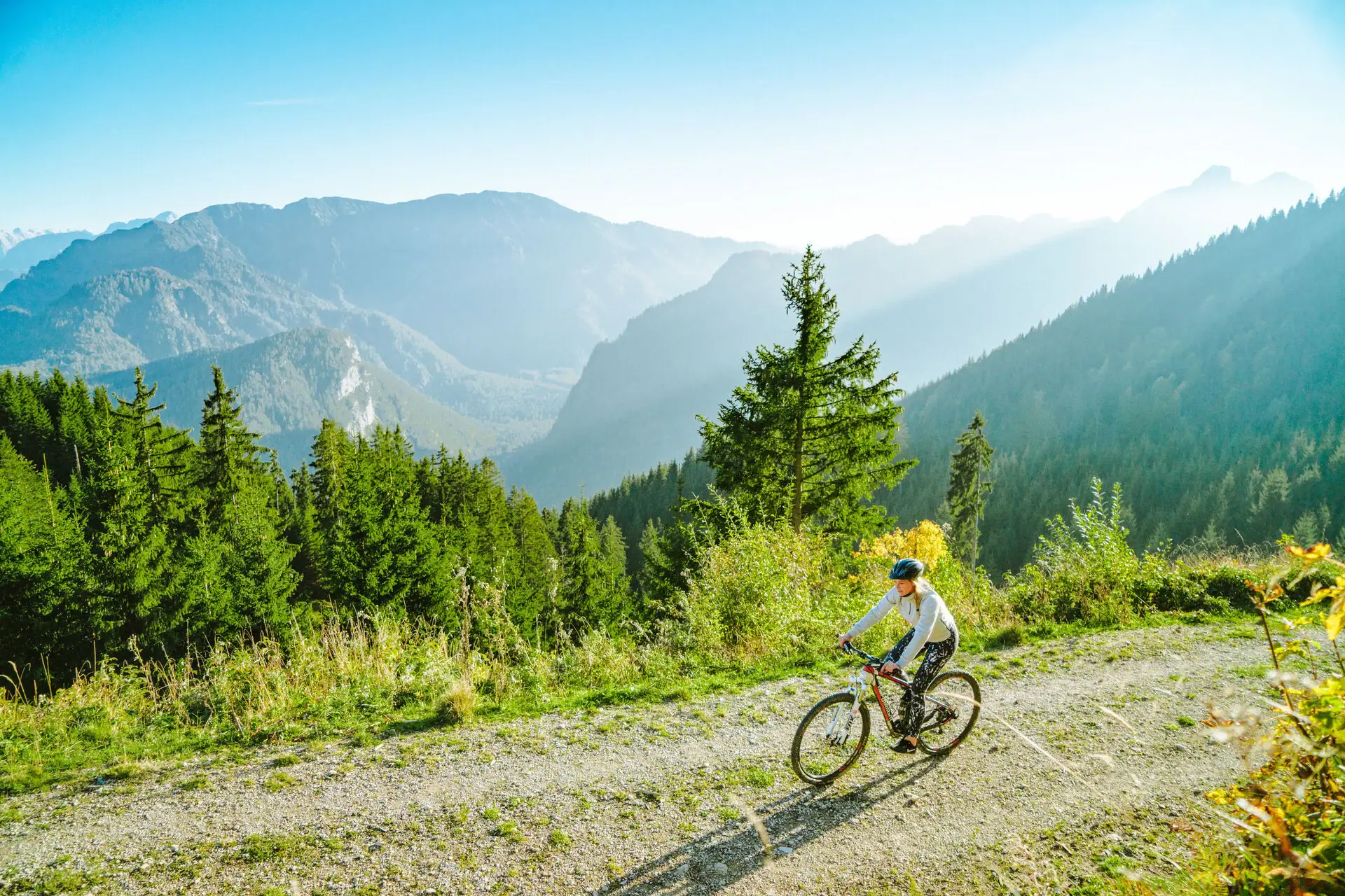 A person rides a bicycle on a path, surrounded by trees and mountains in the background.