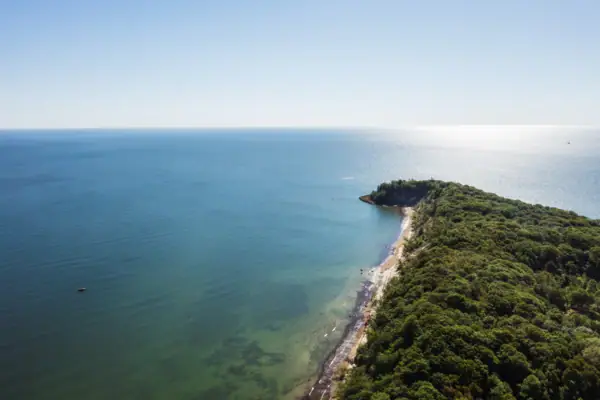 Beach with trees and water in the foreground.