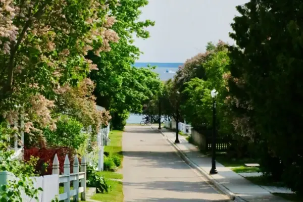 Street with trees and white fence outside