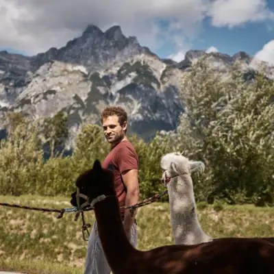 Activities at the aja Bergresort Werfenweng A man stands next to alpacas in the open air.
