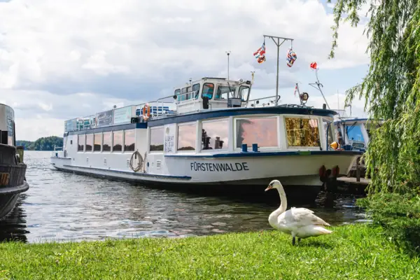 A white swan on grass next to a boat.