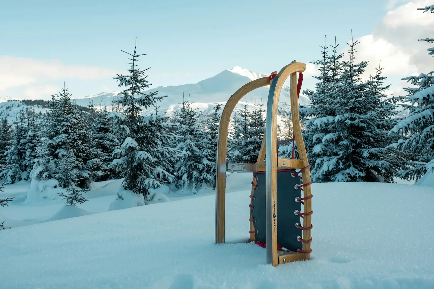 A sledge in the snow with trees and mountains in the background.