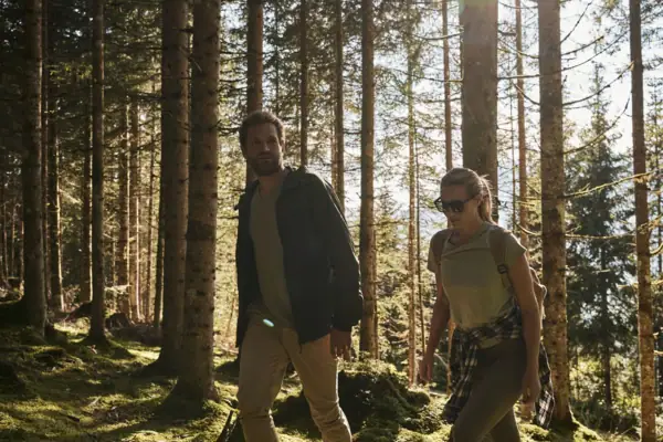 A man and a woman go for a walk in a coniferous forest.