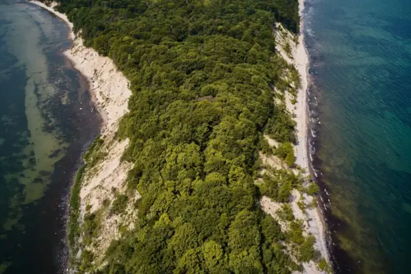 Aerial view of a beach with trees in the foreground.