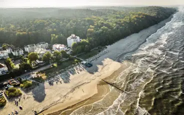 Aerial view of a beach with trees and buildings.