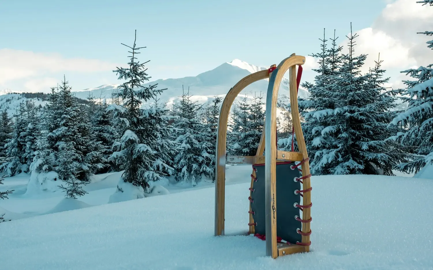 A sledge in the snow with trees and mountains in the background.