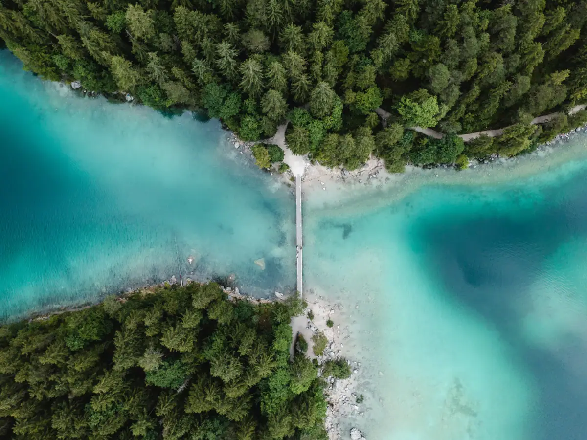 Bridge over a body of water with trees in the background