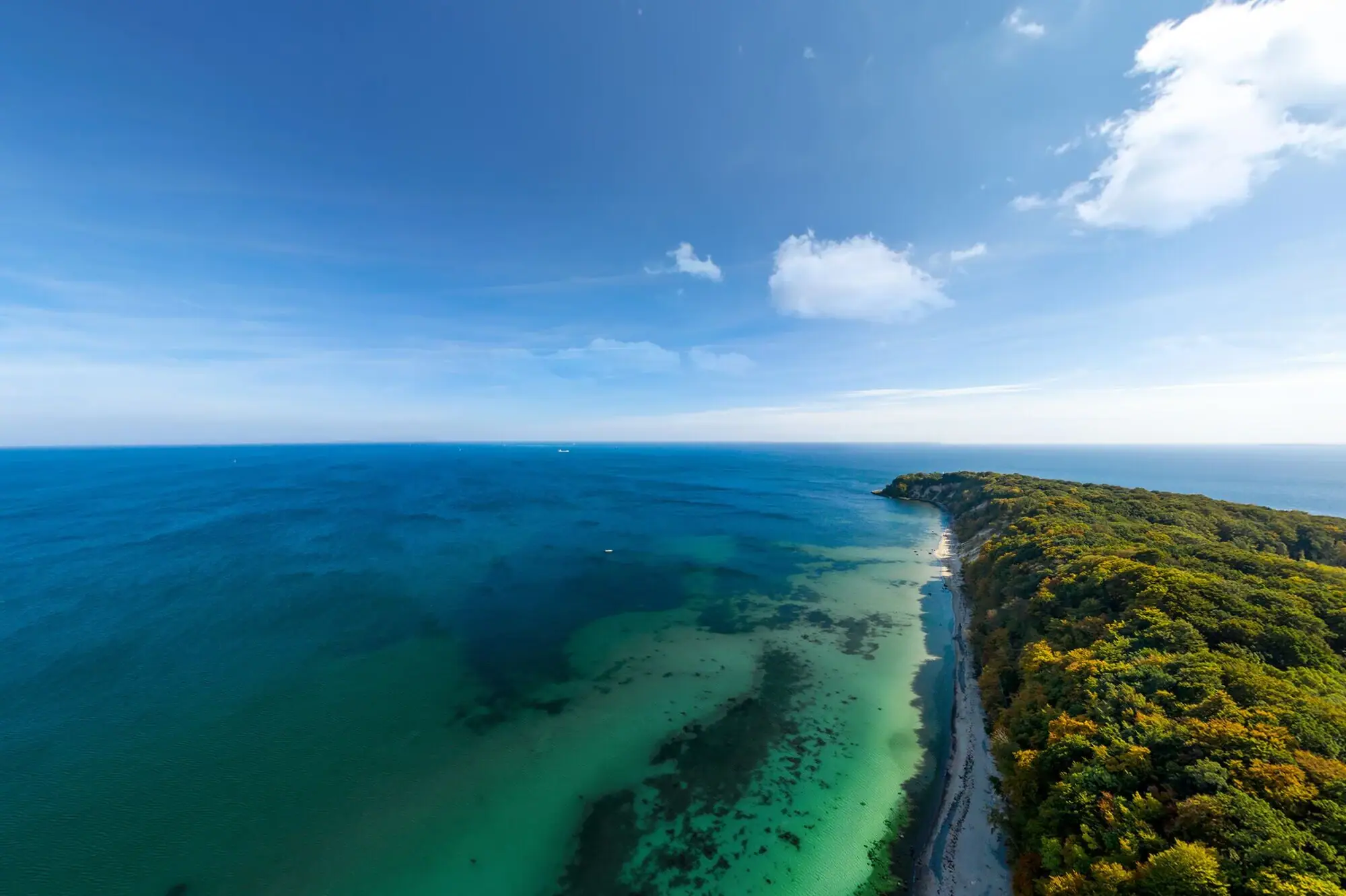 A beach with trees and water.