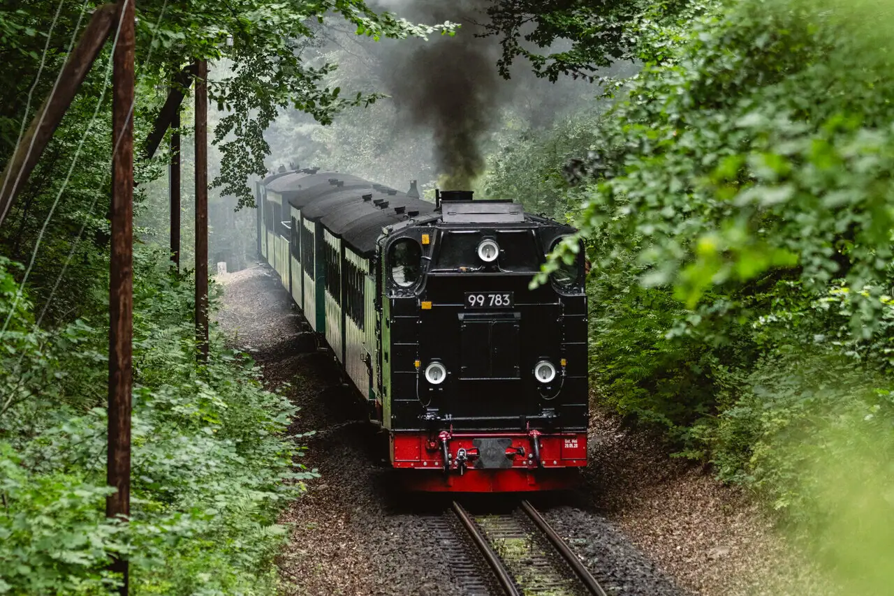 A black and red steam locomotive travels with dark steam through green surroundings.
