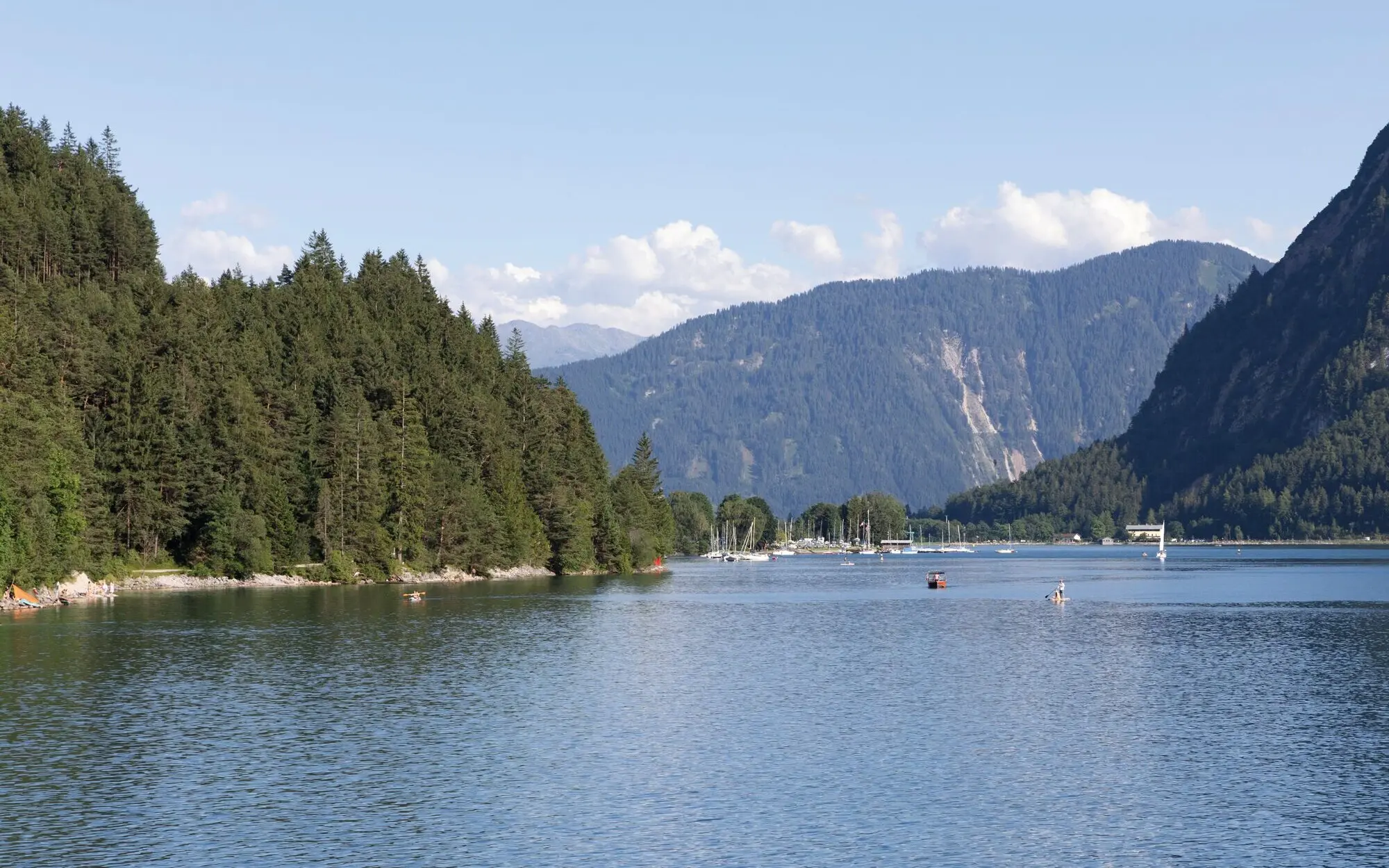 Boats on a body of water with trees in the background.