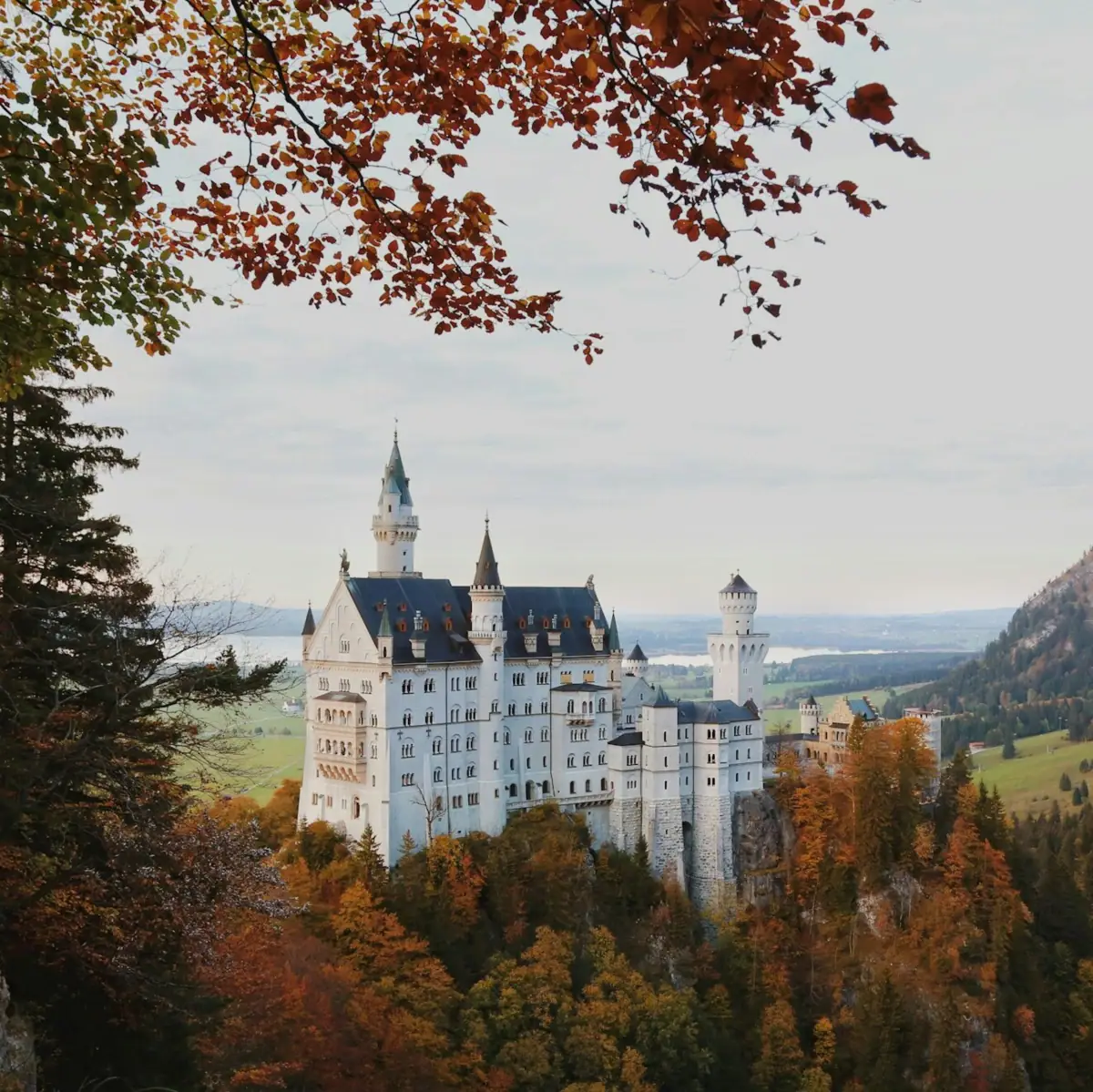 Neuschwanstein Castle Neuschwanstein Castle on a hill with trees and mountains in the background.