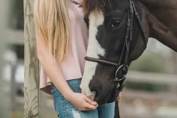 Woman hugging a horse outdoors.