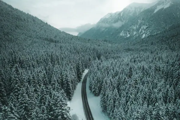 Snowy landscape with a road and trees.