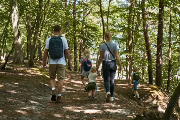 Hiking trail A group of people are walking in the forest.